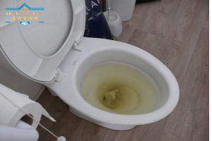 Bồn cầu bị tắc phải làm như thế nào